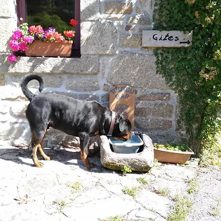 Casa vacanze Domaine De Lesvaniel *
